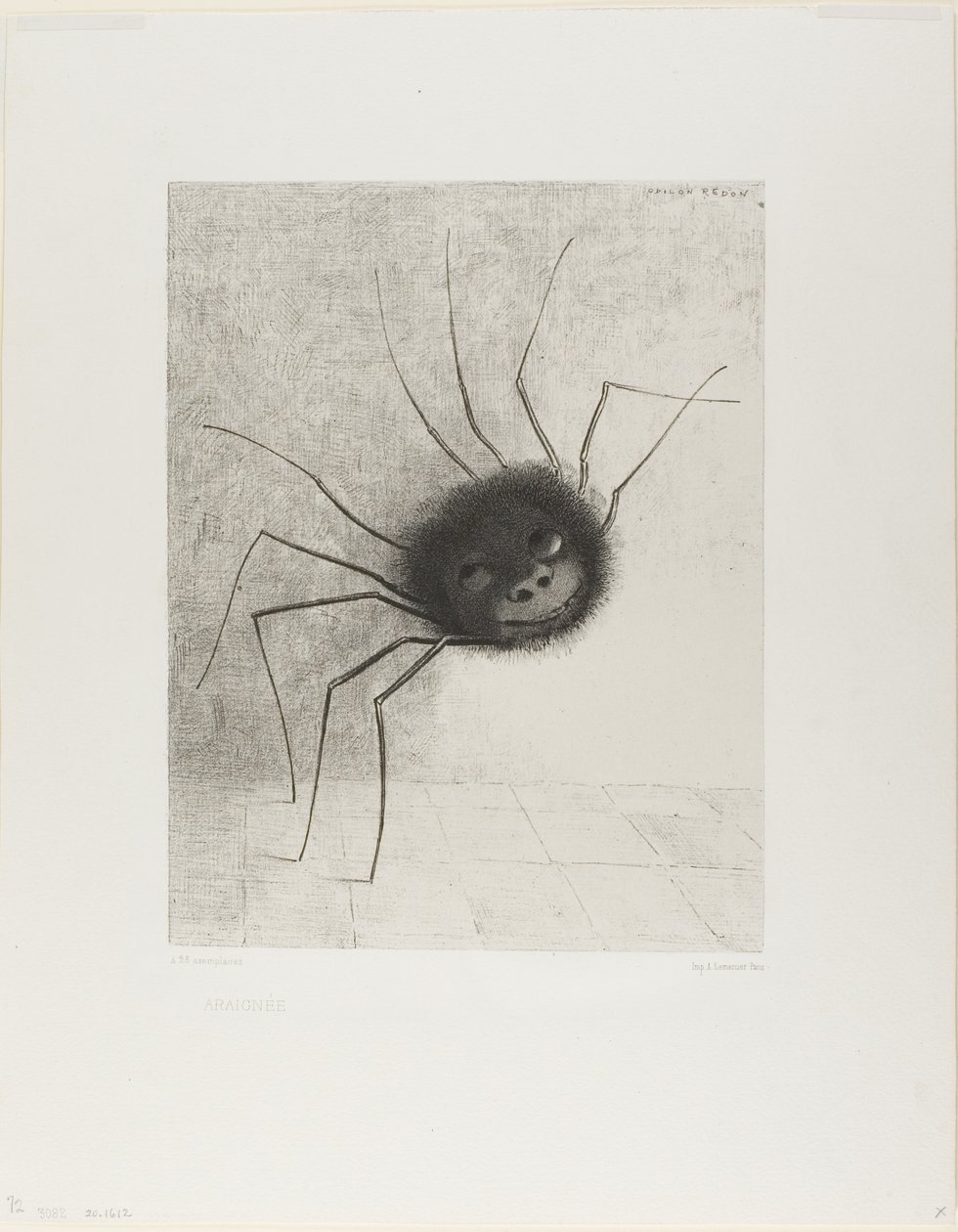 edderkop af Odilon Redon