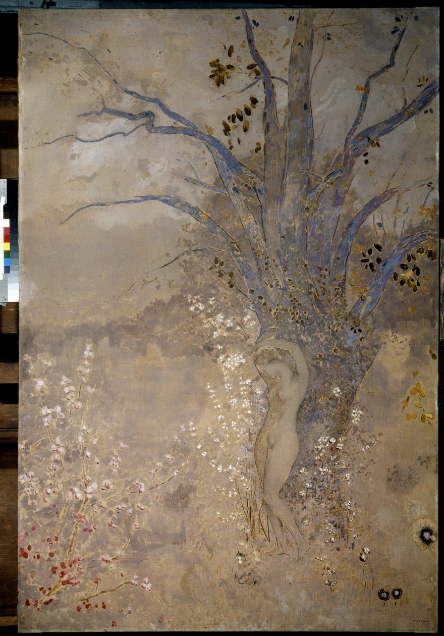 Spring af Odilon Redon af Odilon Redon