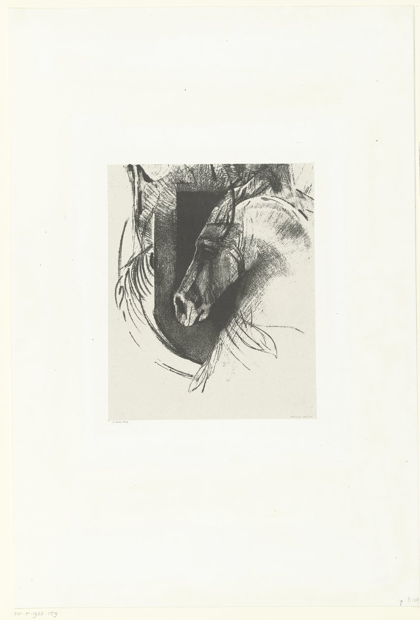 kamp ros Le Courcier (titel på objekt) af Odilon Redon