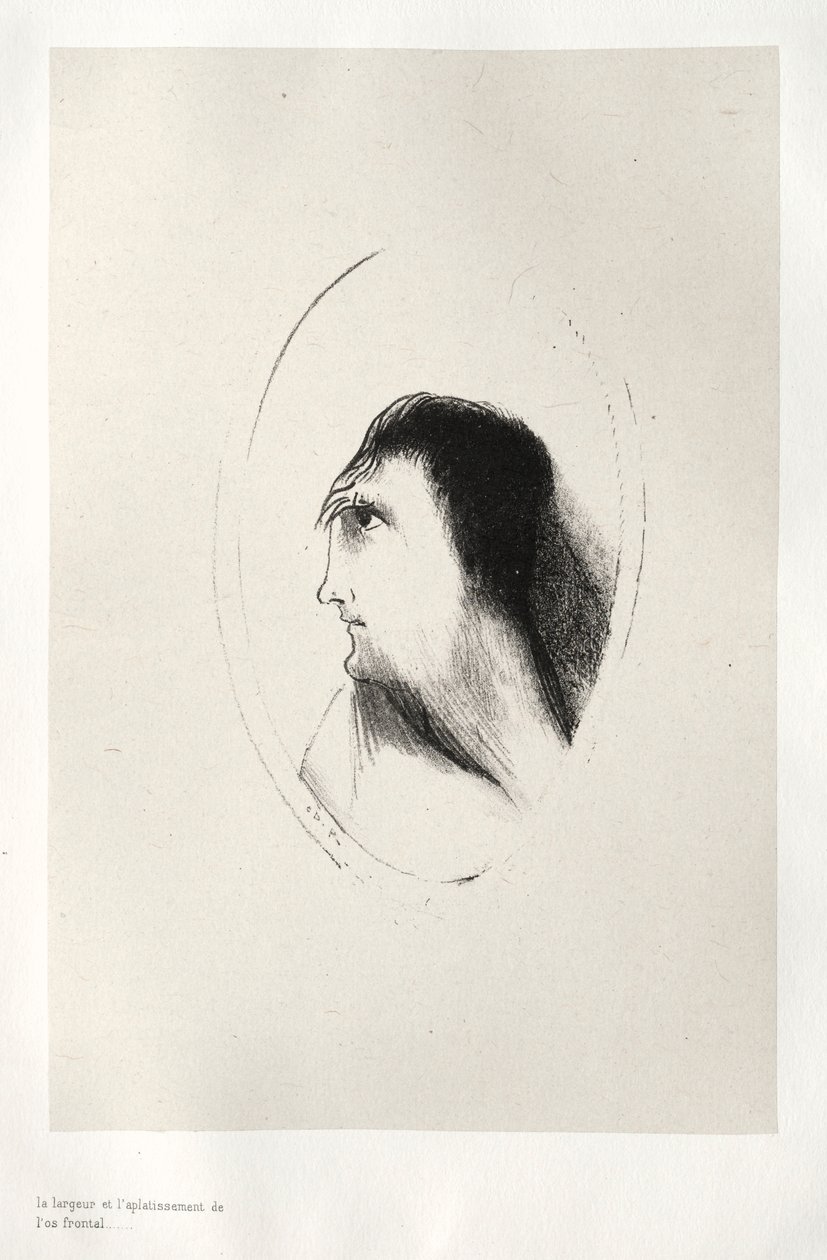 The Haunted House: The Width and Flatness of the Frontal [Bone], 1896. af Odilon Redon
