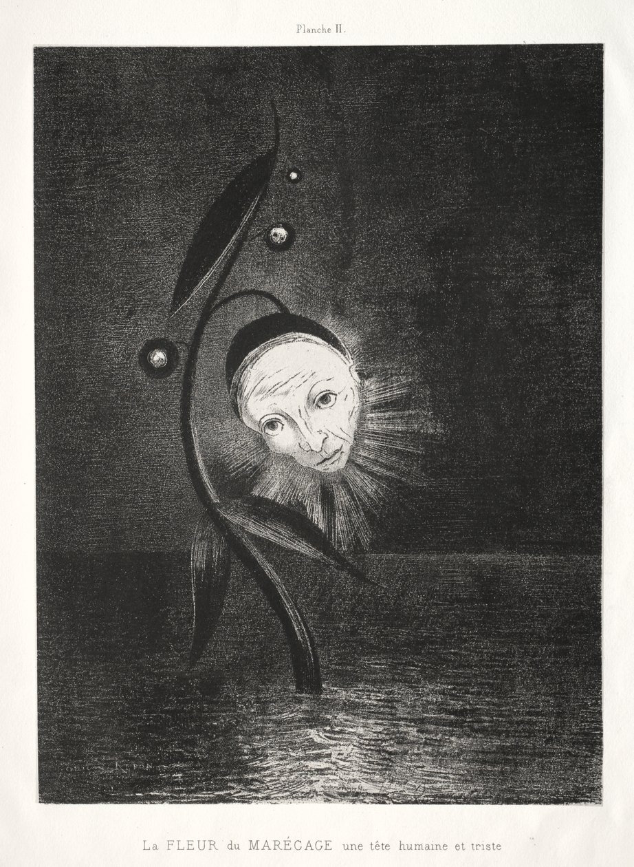 Marskblomsten, et trist menneskehoved af Odilon Redon