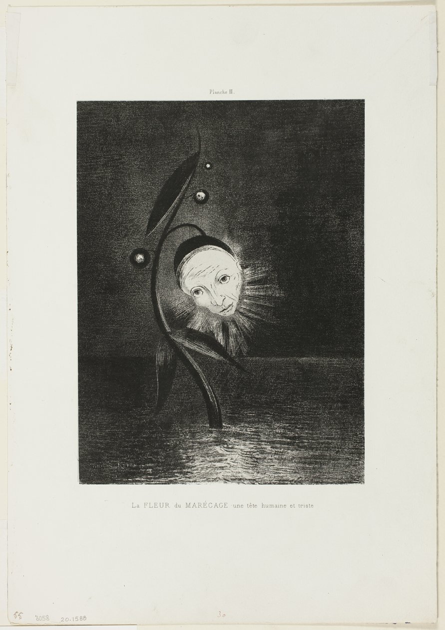 The Marsh Flower, a Sad Human Head, plade 2 af 6 af Odilon Redon