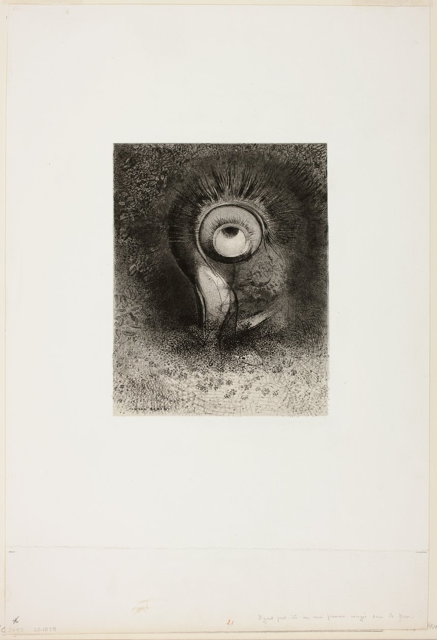 Der var måske et første syn forsøgt i blomsten, plade 2 af 8 fra "Les Origines" af Odilon Redon