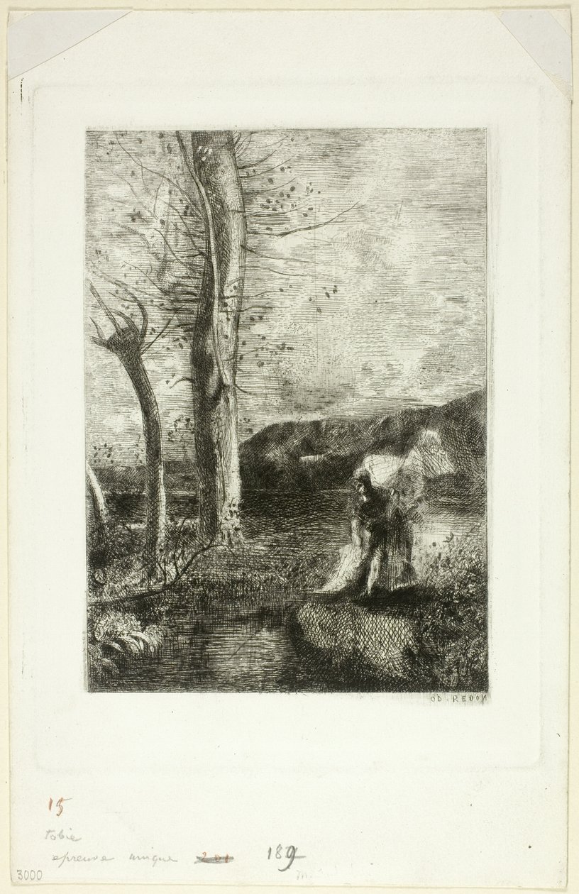 Tobias af Odilon Redon