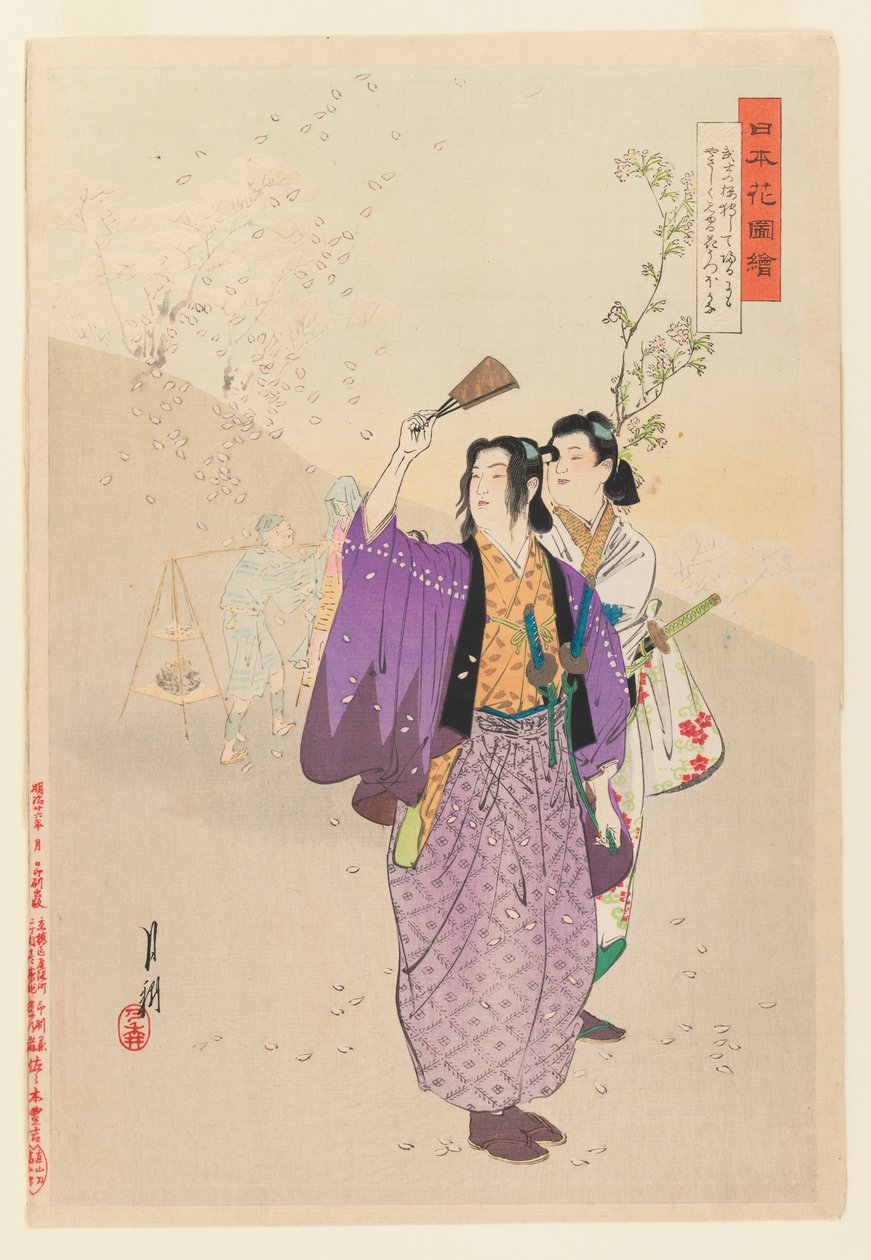 Dandies beundrer Falling Cherry Blossoms fra serien Pictures of Flower Gardens, 1893 (træblok farvetryk) af Ogata Gekko