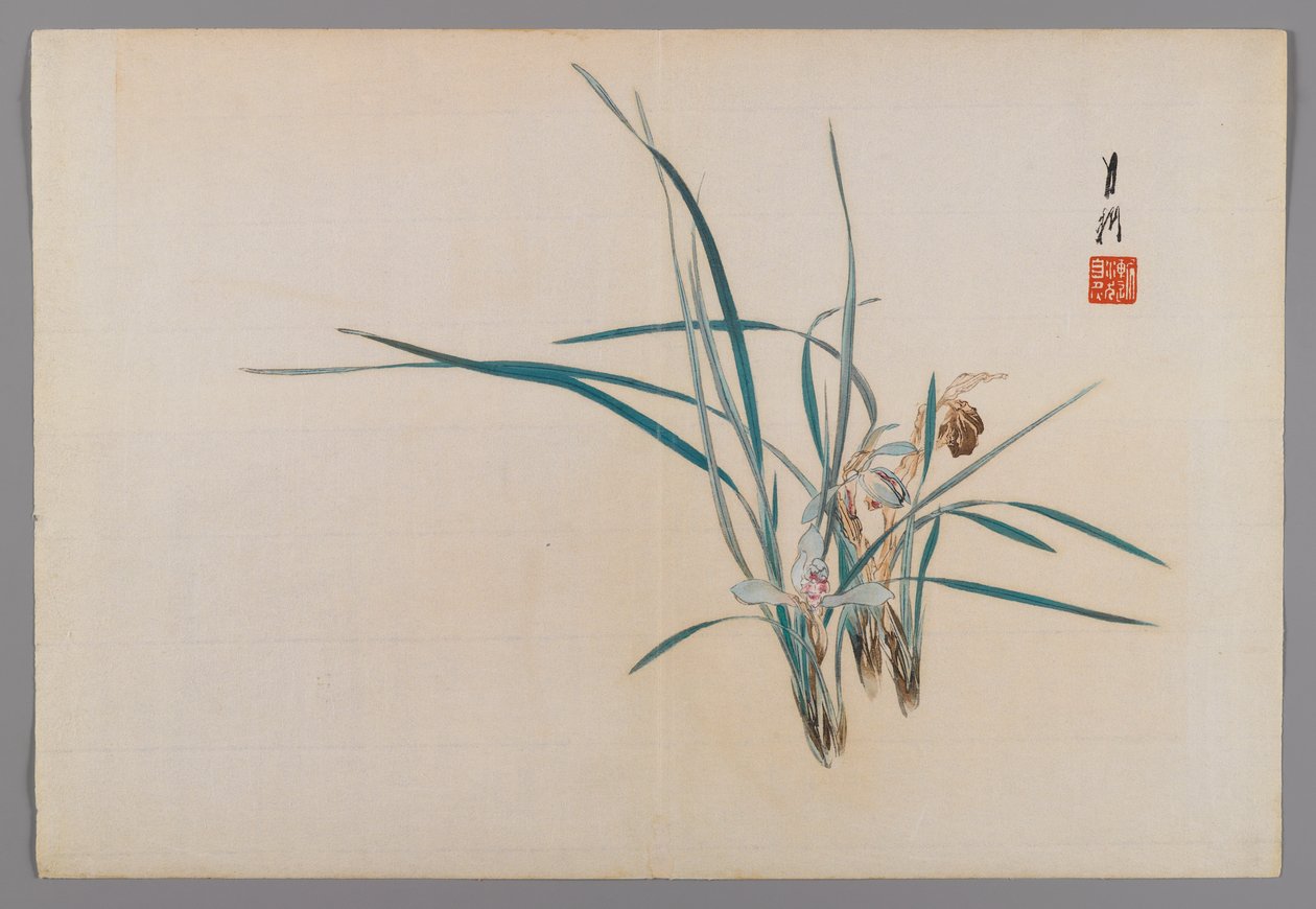 Orkideer, albumside fra en Bird and Flower (Kacho) bog, ca. 1890-1900 (træblok farveprint med sølvpigment) af Ogata Gekko