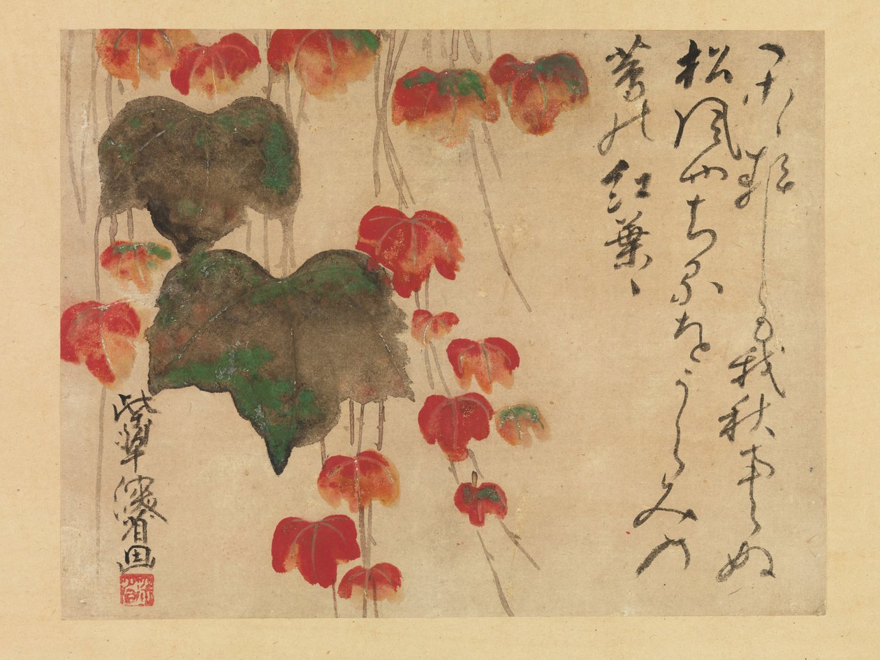 Autumn Ivy (blæk, farve og guld på papir) efter 1732 af Ogata Kenzan