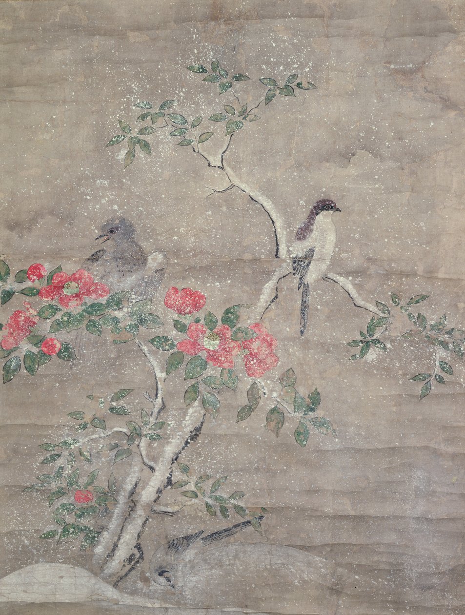 Fugle og kamelia i sne, ca. 1700 (blæk og farver på papir) af Ogawa Haritsu