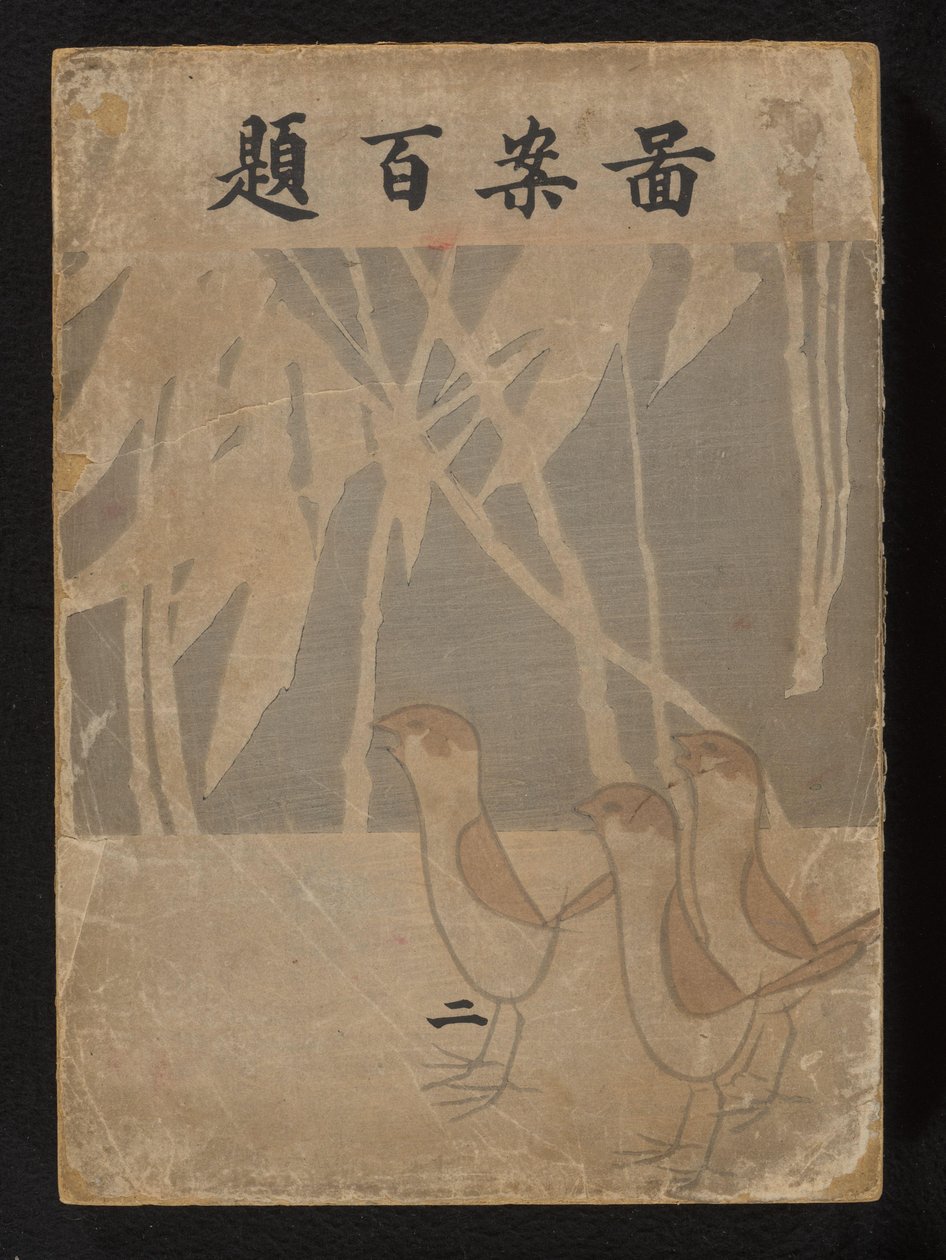 Hundrede designs - del to Zuan Hyakudai - ni af Ogino Issui
