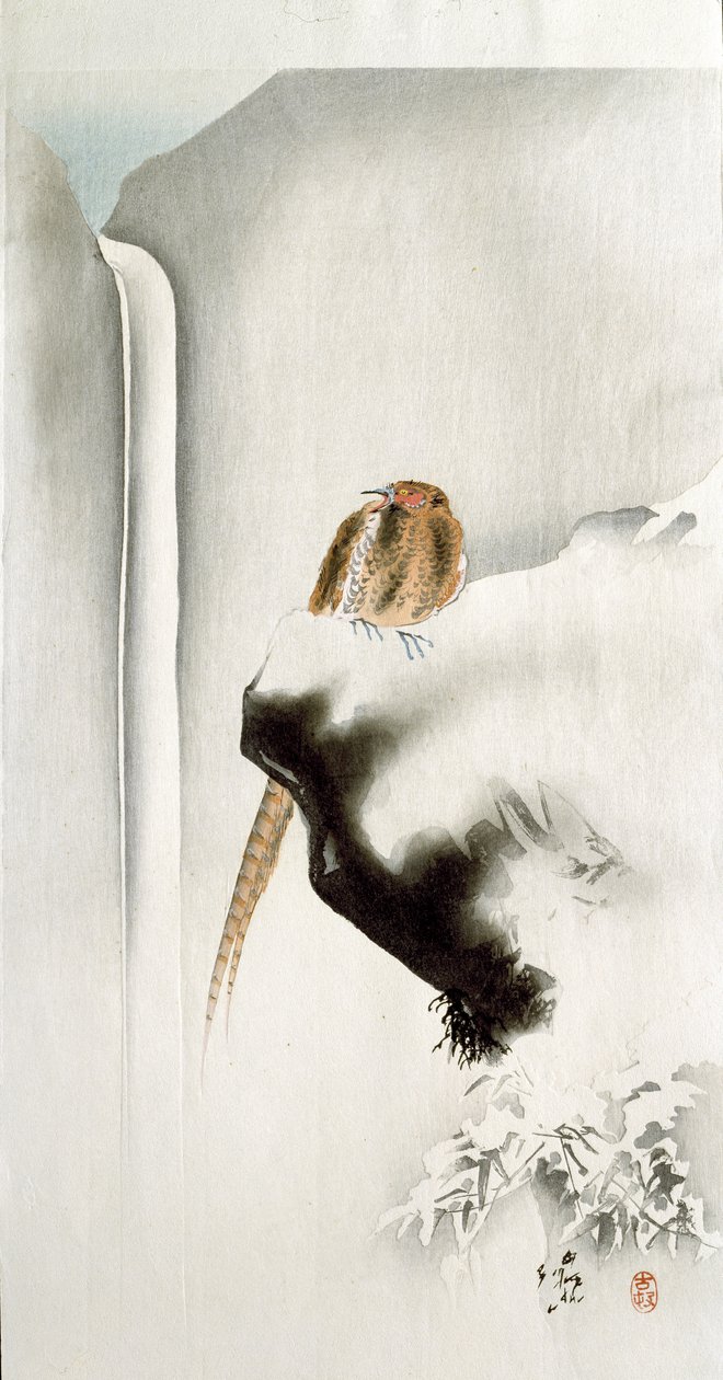En fasan på en klippekant, med et vandfald i baggrunden, 1907 (farvetræsnit) af Ohara Koson
