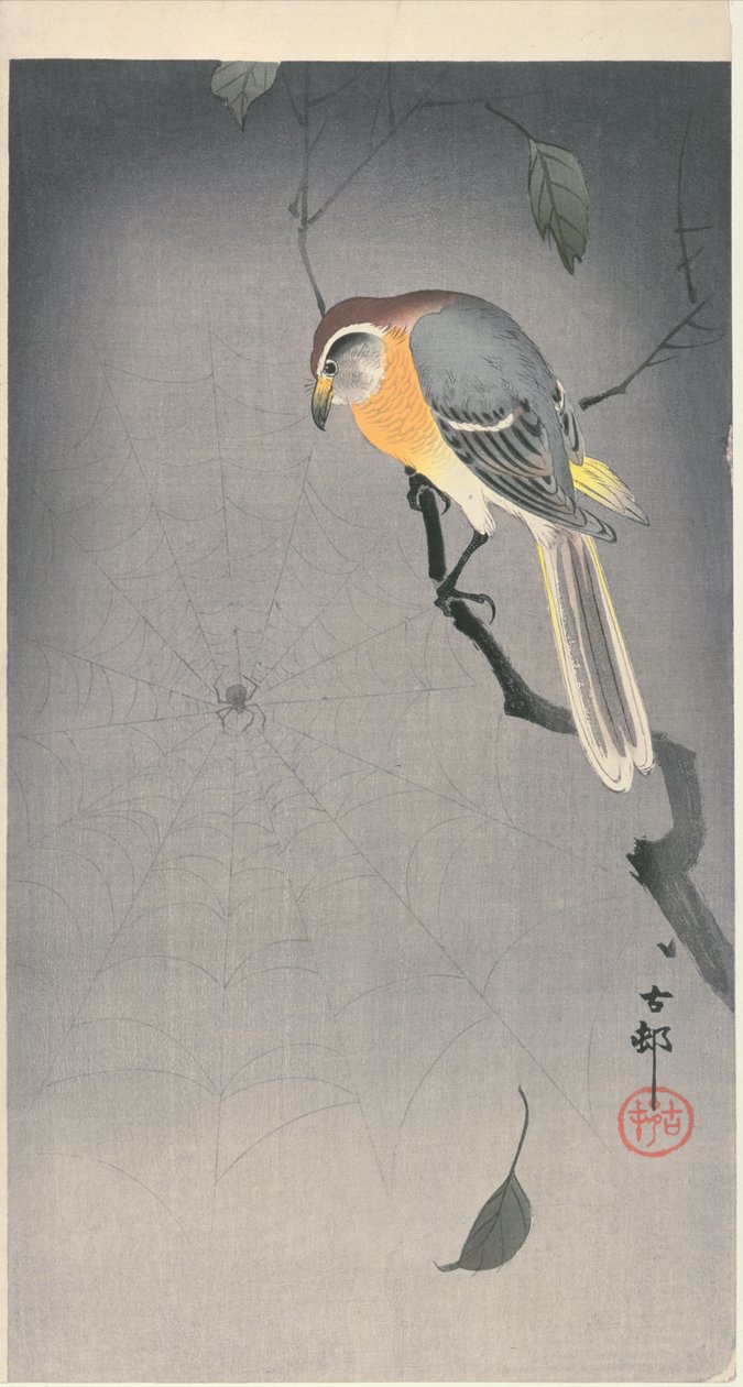 Fugl på en gren ser på en edderkop, ca. tidligt 1900 (træbloktryk i farver) af Ohara Koson