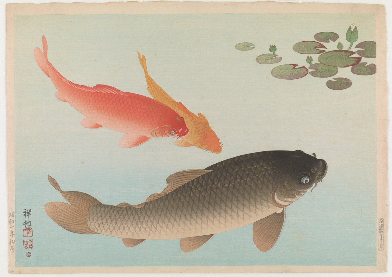 Karpe, 1935 (farvetryk i træsnit) af Ohara Koson