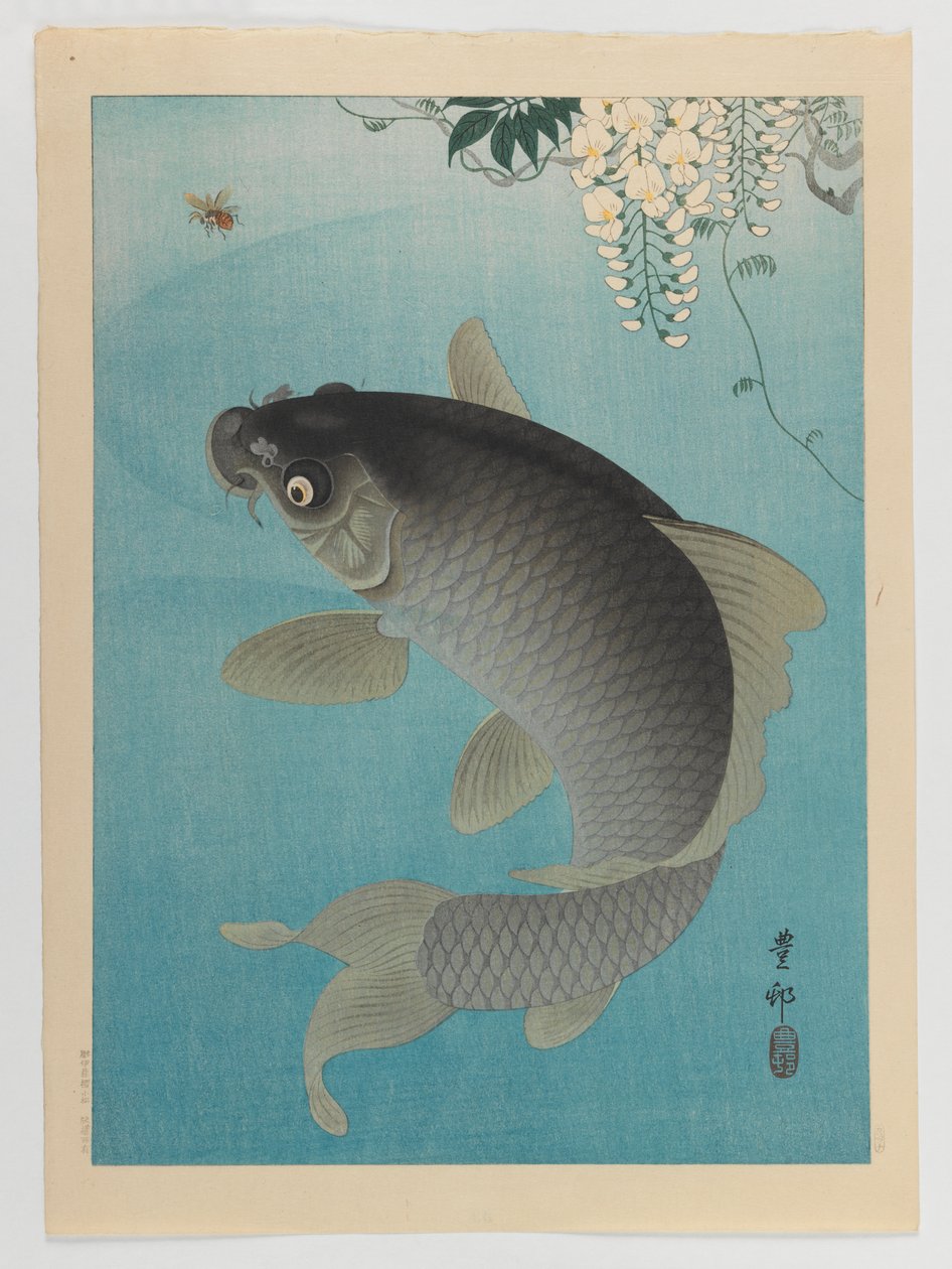 Carp Beneath Wisteria, ca. 1935 (træblok farvetryk) af Ohara Koson