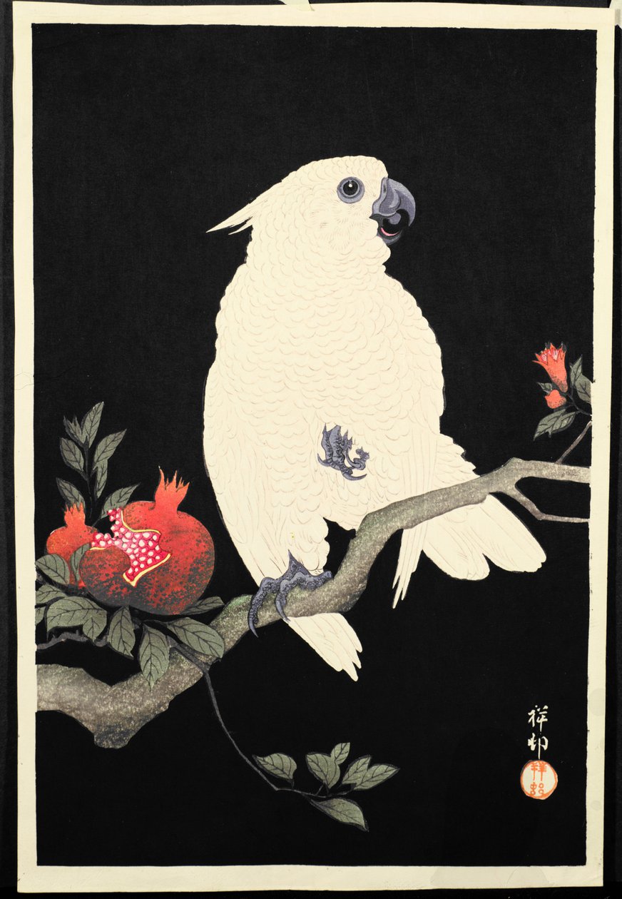 Kakadue og granatæble, (træsnit i farver) af Ohara Koson