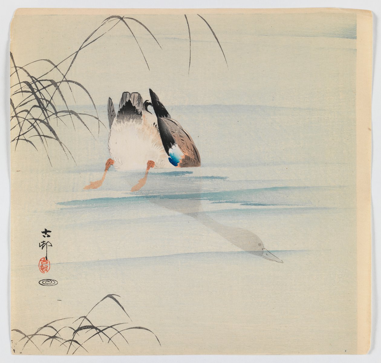 Diving Mallard, ca. 1910 (træblok farvetryk) af Ohara Koson