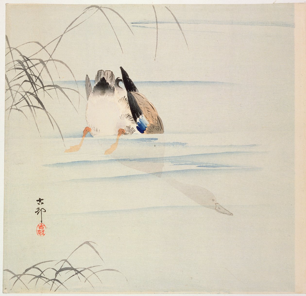 Duck Diving, ca. begyndelsen af 1900-tallet (træbloktryk i farver) af Ohara Koson