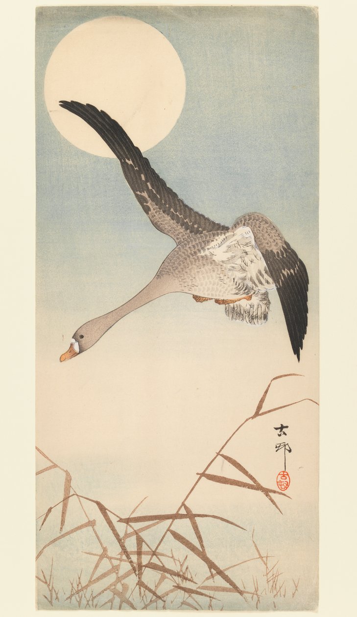 Goose Flying in Moonlight, ca. 1910 (træbloktryk) af Ohara Koson