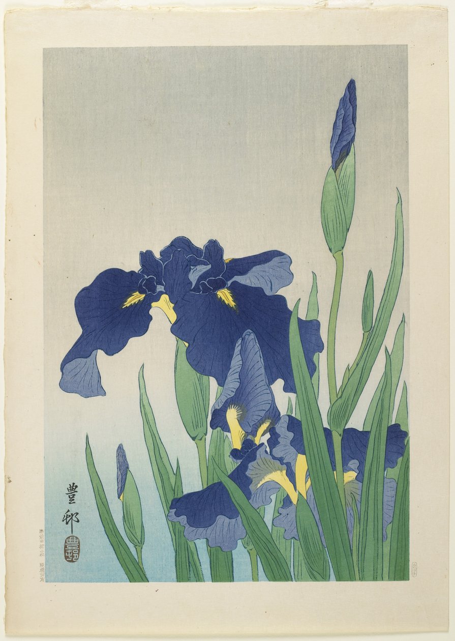Iris, midten af det 20. århundrede af Ohara Koson