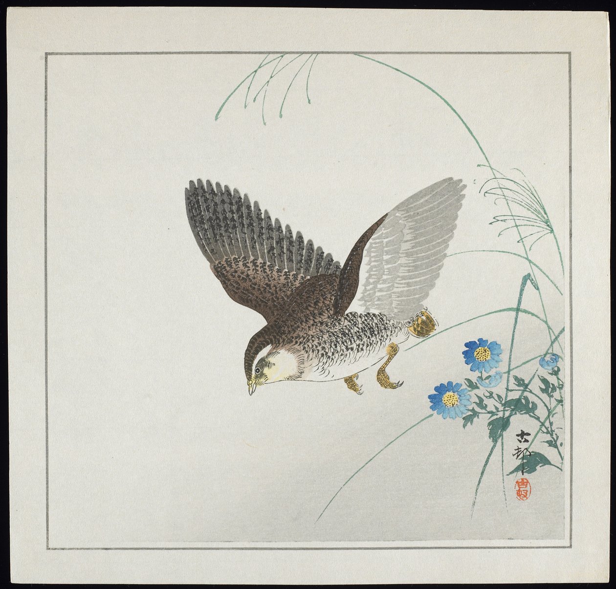 Vagtel på flugt, før 1912 af Ohara Koson