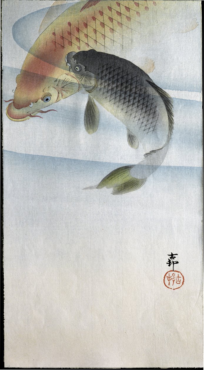 To karper i en flod, 1907 af Ohara Koson