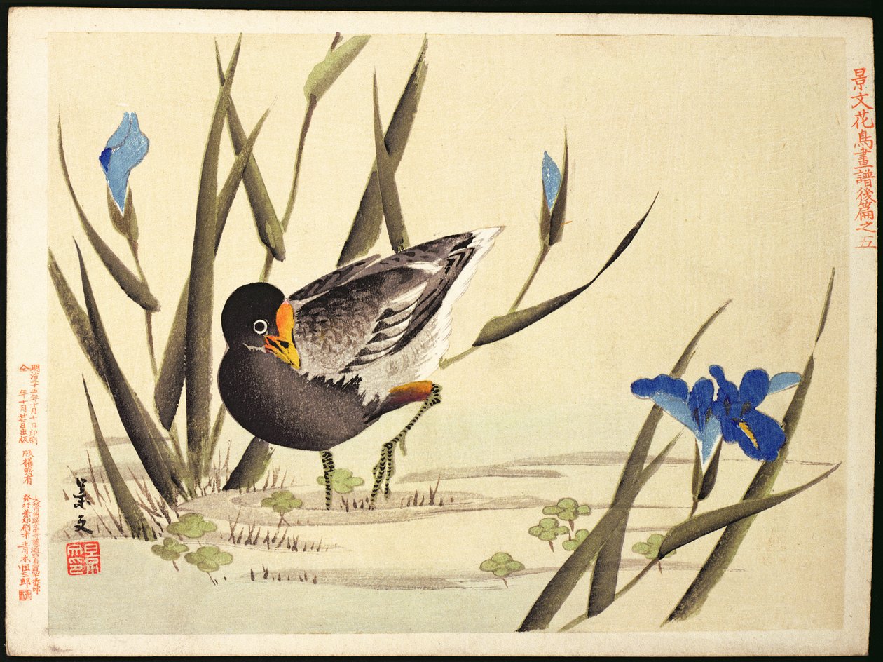 Vadefugl blandt siv, (farvet træbloktryk) af Ohara Koson