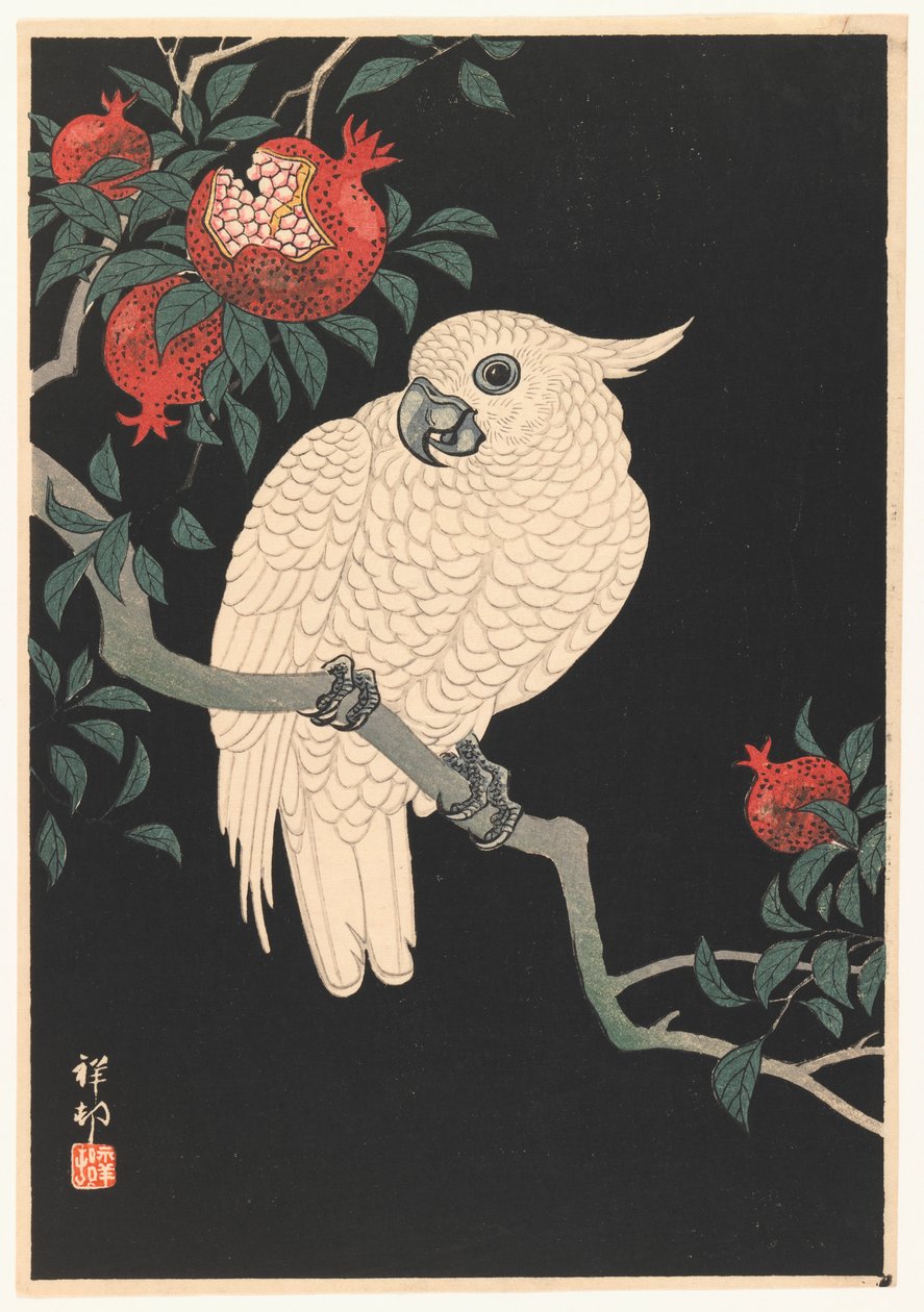 Hvid papegøje og granatæble, 1927-1989 (træbloktryk) af Ohara Koson