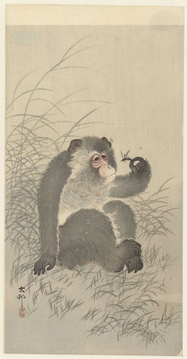 du mødte insekt af Ohara Koson