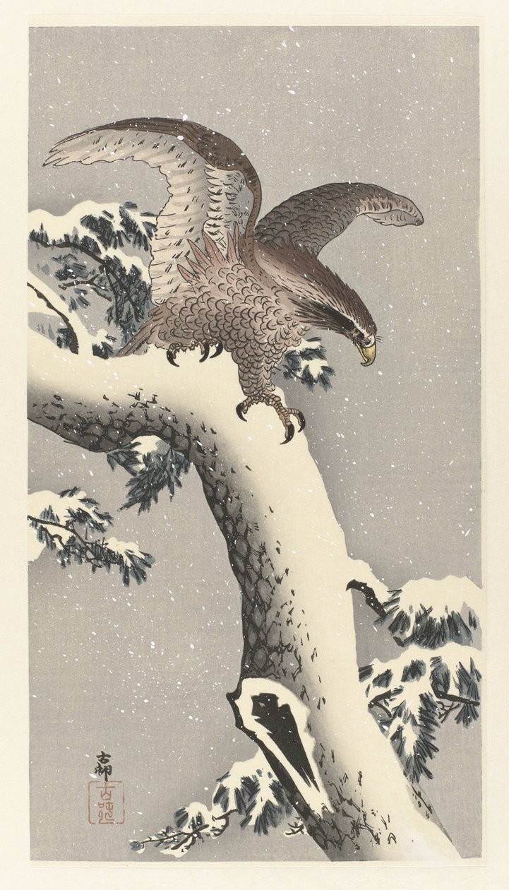 Ørn på snedækket fyrretræ af Ohara Koson