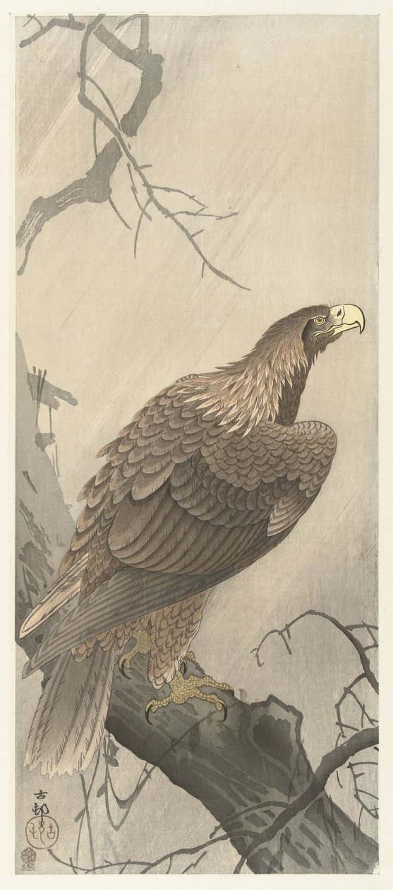 Ørn på trægren af Ohara Koson