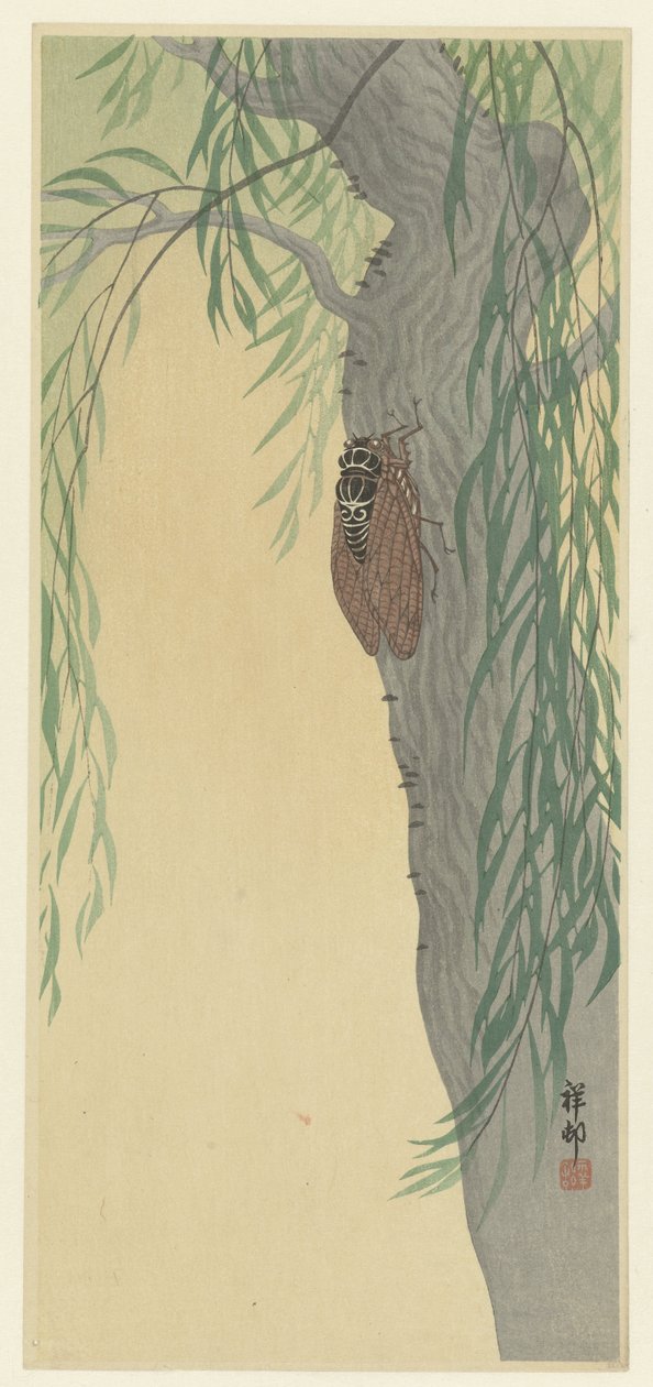 Cikade på træ af Ohara Koson