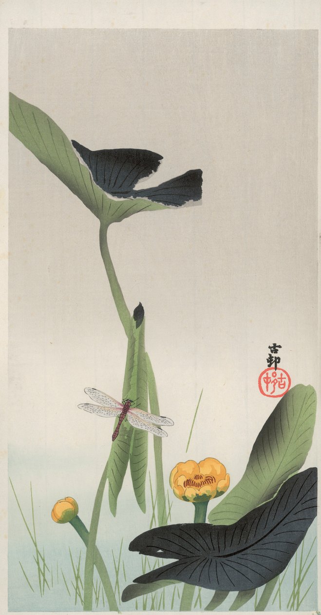 Dragonfly og Lotus (træblok i farver) af Ohara Koson