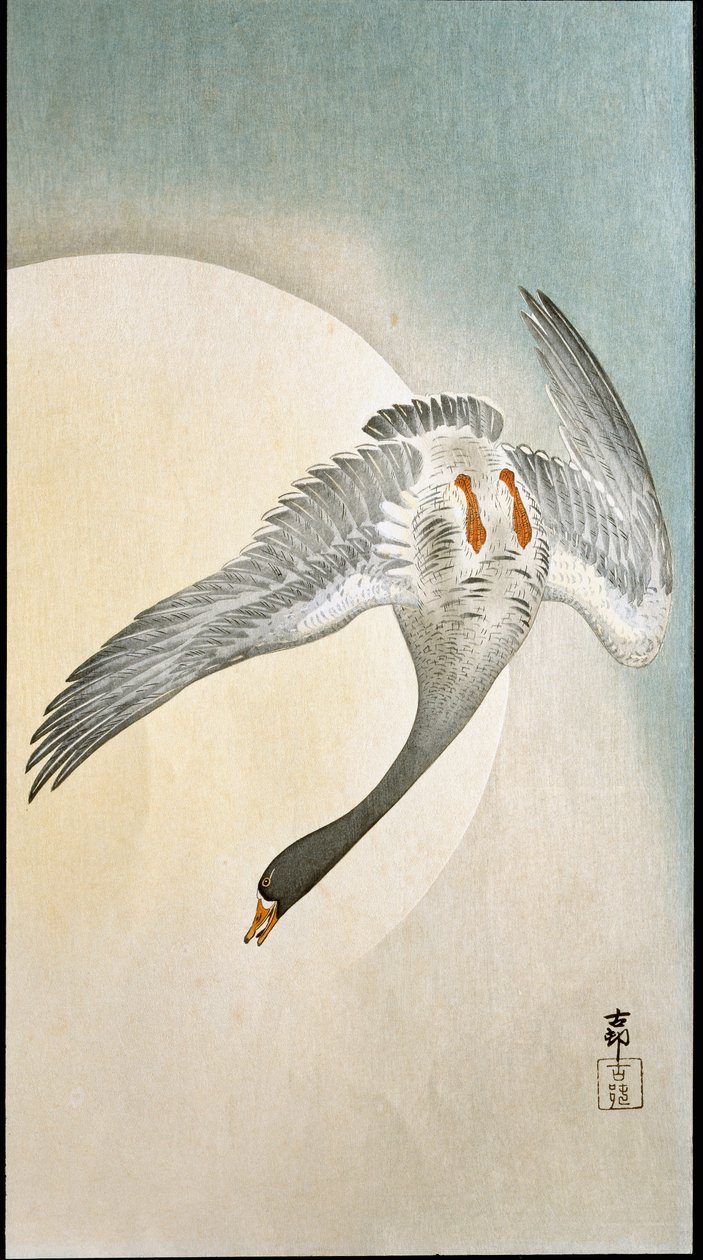Andeflyvning i måneskin Xylografi og japansk tryk af Ohara Koson (1877-1945) 1908 Privatsamling DR af Ohara Koson