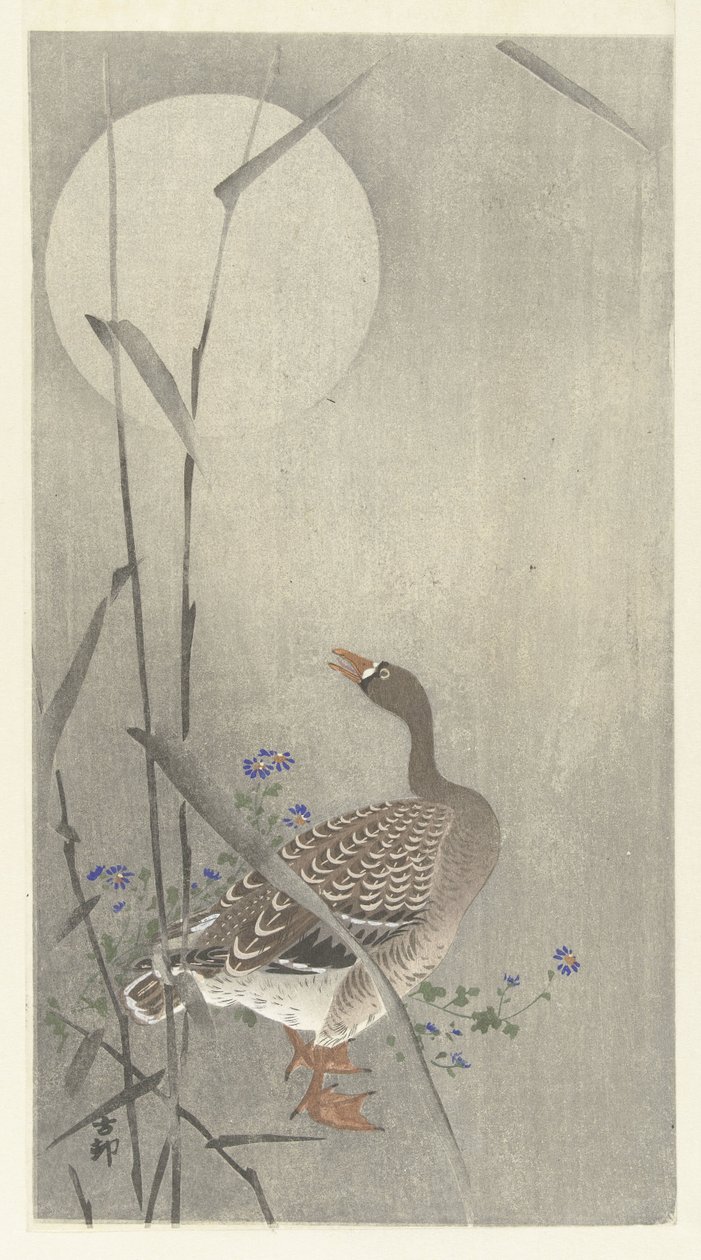 Gås ved fuldmåne af Ohara Koson