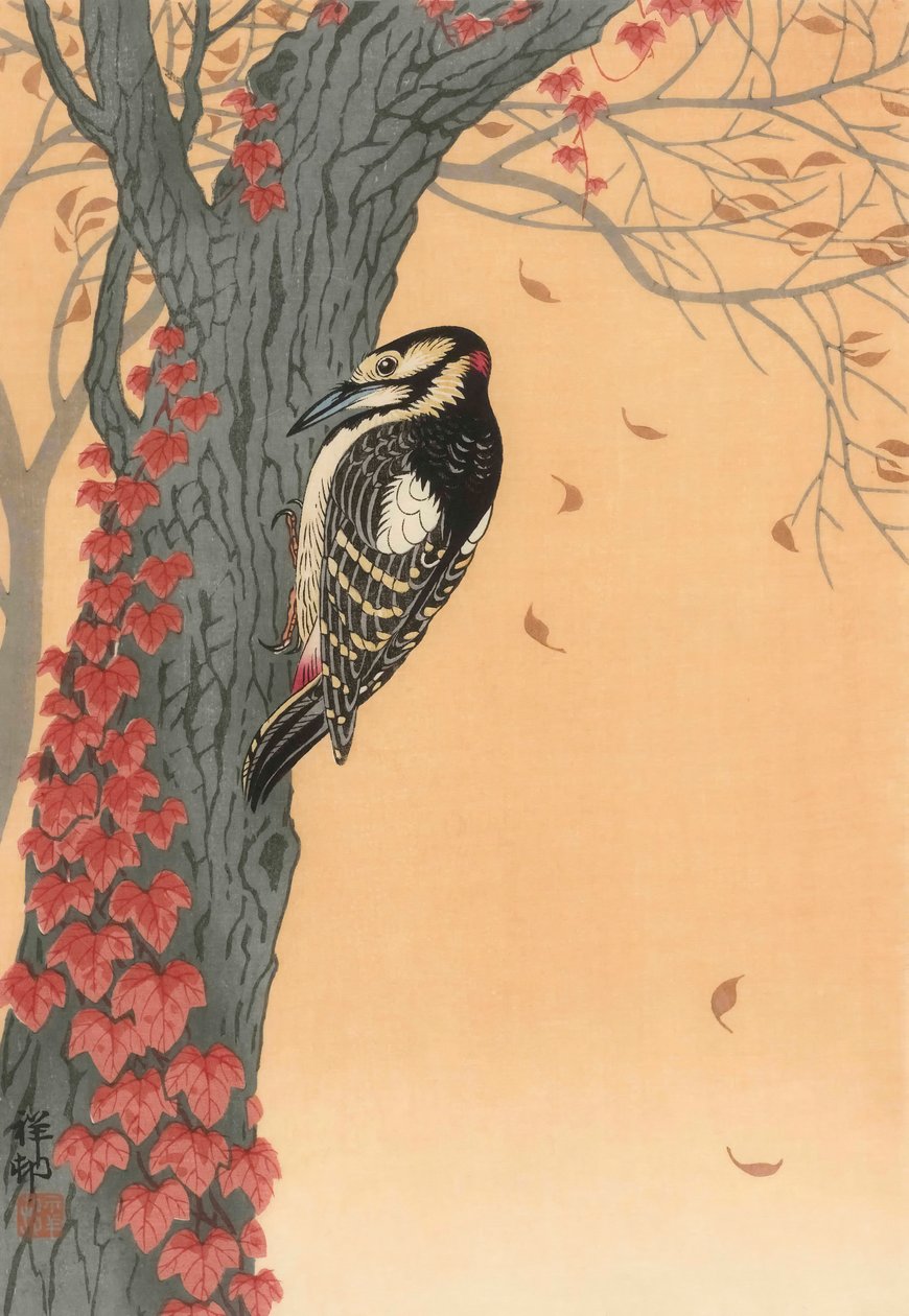Stor plettet spætte i træ med rød efeu, 20. århundrede (japansk tryk) af Ohara Koson