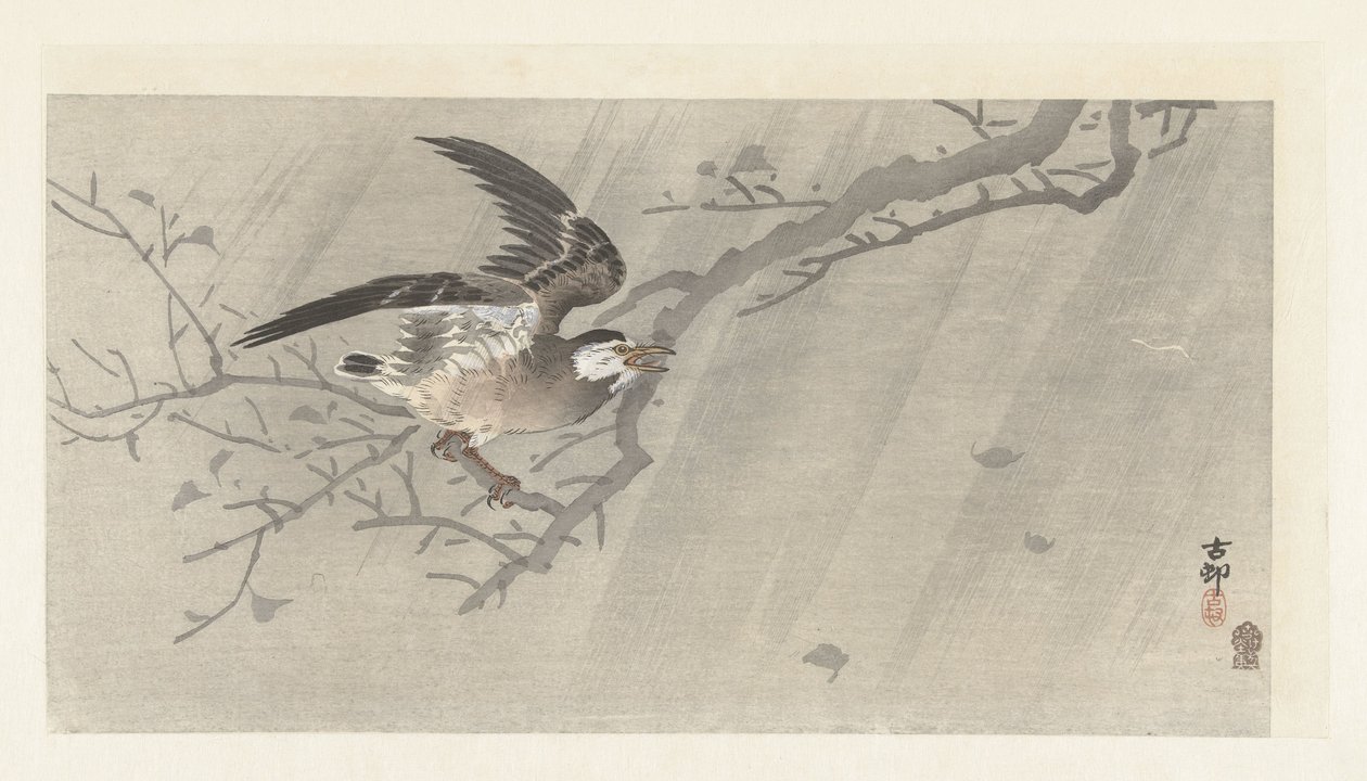 Grå stær i storm af Ohara Koson