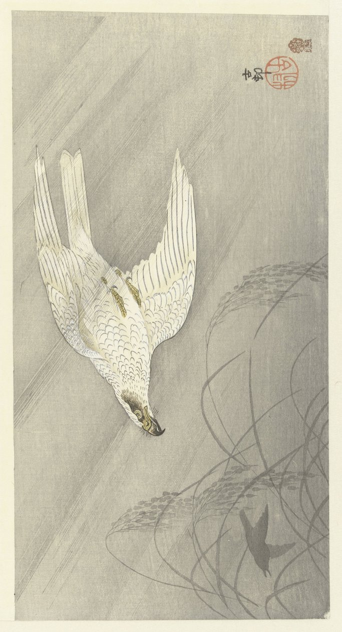 Jagt høg af Ohara Koson