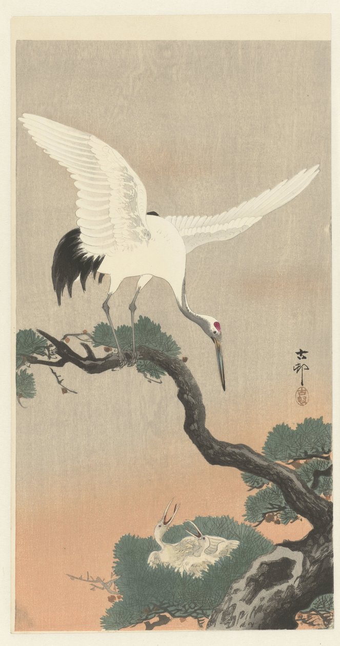 Japansk kran på gren af ​​fyrretræ af Ohara Koson