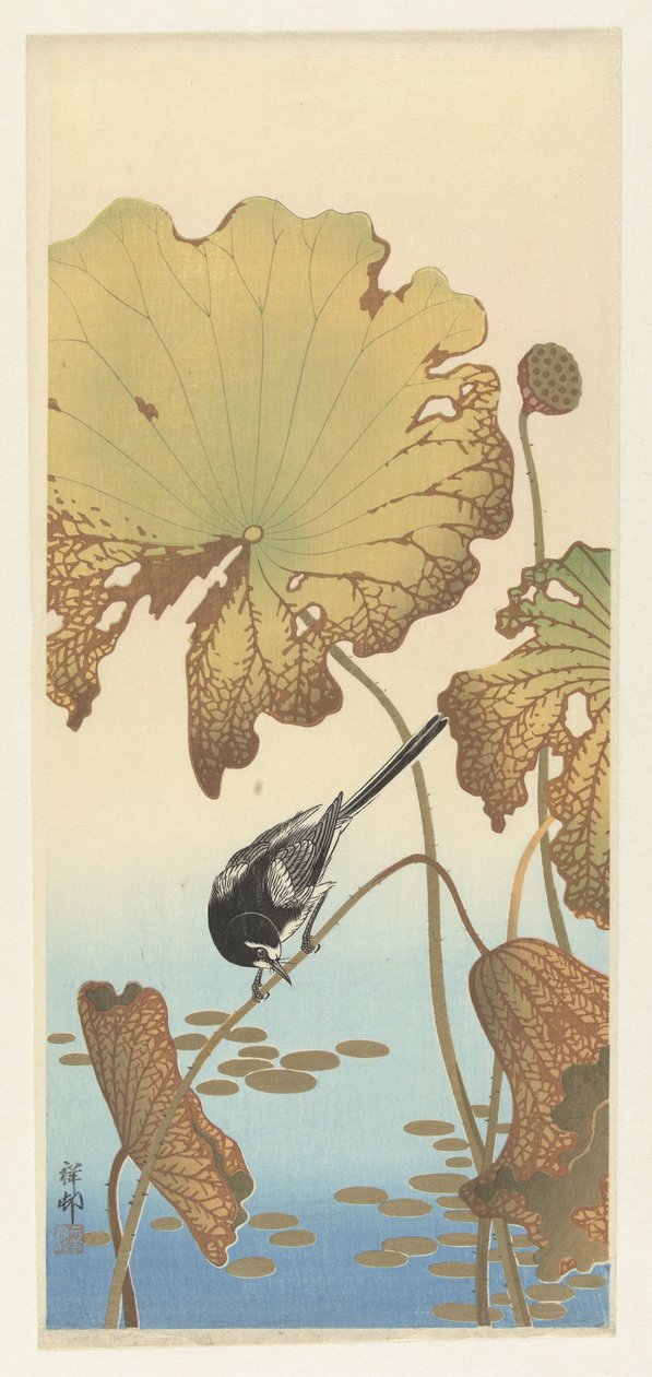Japansk vipstjert på lotusplante af Ohara Koson