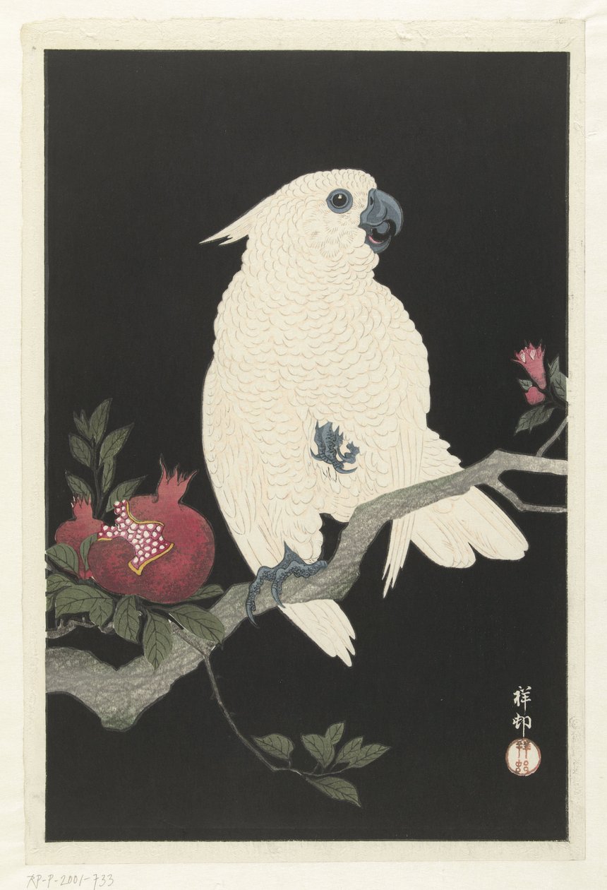 Kakadu og granatæble af Ohara Koson