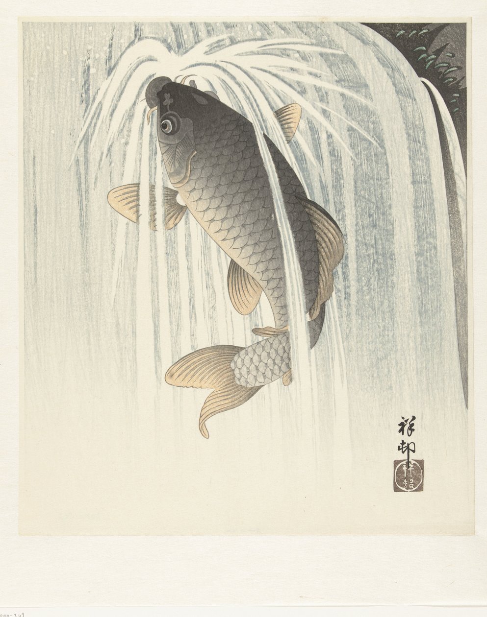 Karpe af Ohara Koson