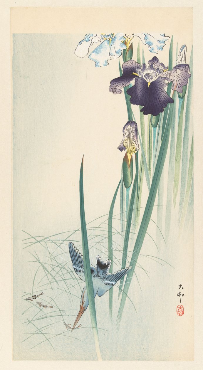 Isfugl og iris af Ohara Koson