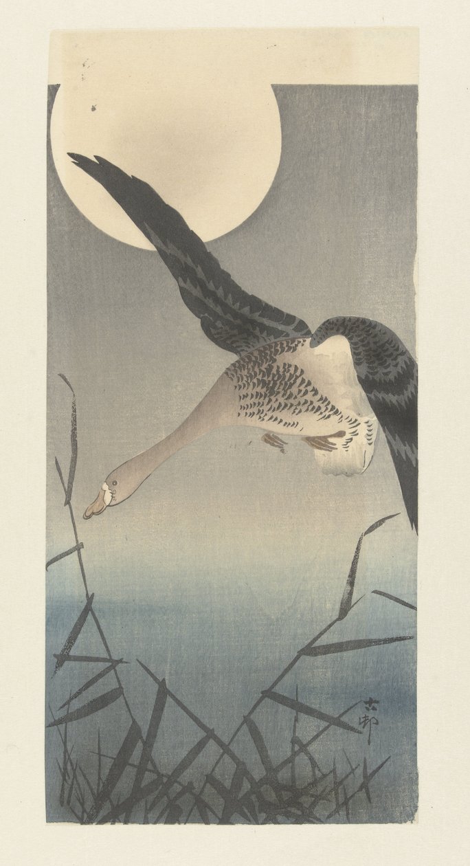 Blisgås ved fuldmåne af Ohara Koson