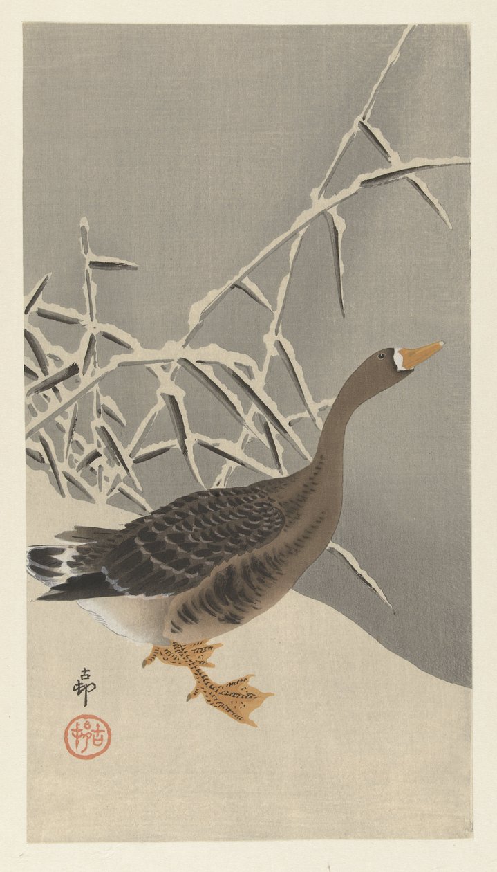 Blisgås i sneen af Ohara Koson