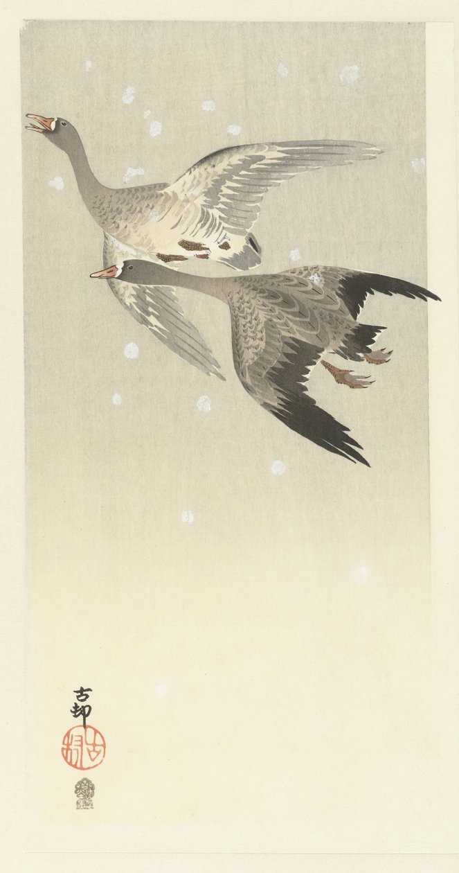 Hvidgæs flyver i sneen af Ohara Koson
