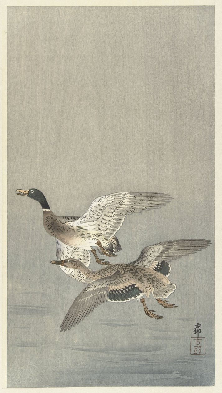 Par ænder af Ohara Koson