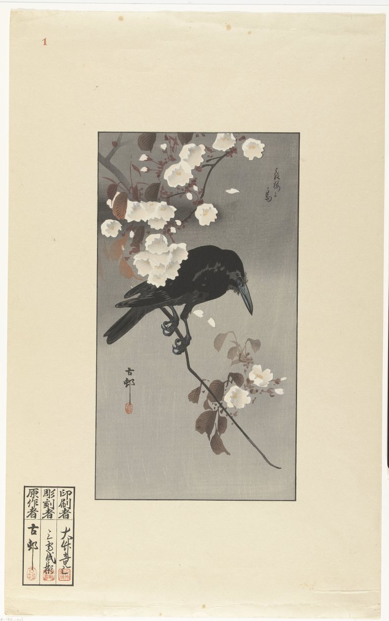 Krage og kirsebærblomst Hana sakura no tori (titel på objekt) af Ohara Koson
