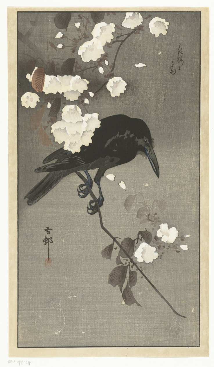 Krage med kirsebærblomst Hana sakura no tori (titel på objekt) af Ohara Koson