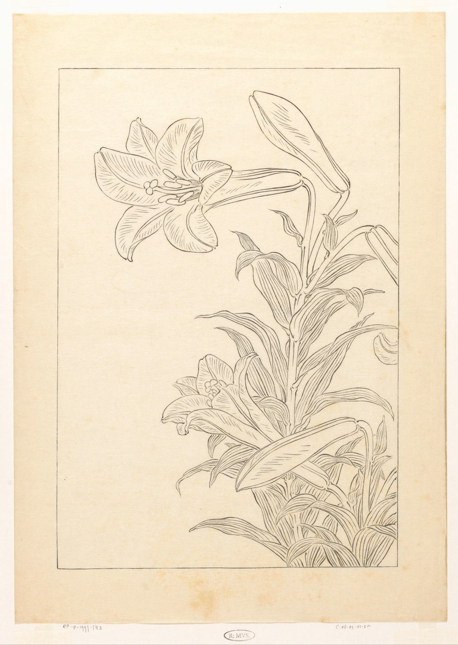 Lelies af Ohara Koson