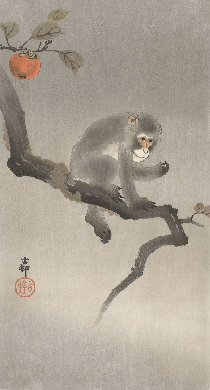 Abe i et frugttræ, 1900-30 (farvetræsnit) af Ohara Koson
