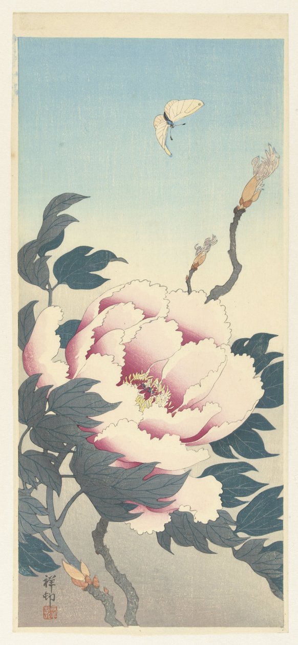 Pæon og en sommerfugl af Ohara Koson